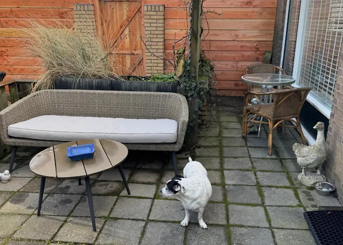 Beja Bij En Duin Эгмонд-ан-Зее